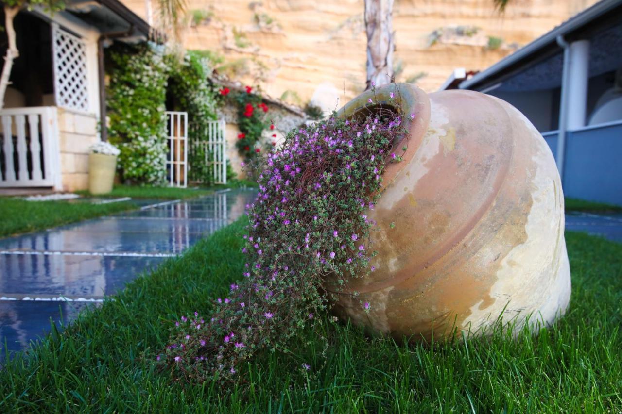 Oldwell Hotel Santa Domenica  Ngoại thất bức ảnh